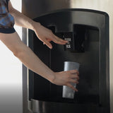Isdispenser 60 kg