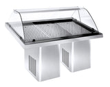 REFRIGERATED FISH DISPLAY 1.9