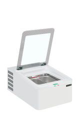ICE2