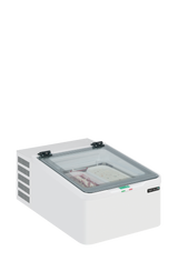 ICE2