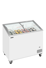 IC301SCEB